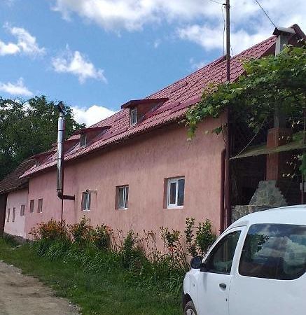 Casa Boierului Imbri Cartisoara Exterior foto