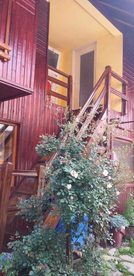 Casa Boierului Imbri Cartisoara Exterior foto