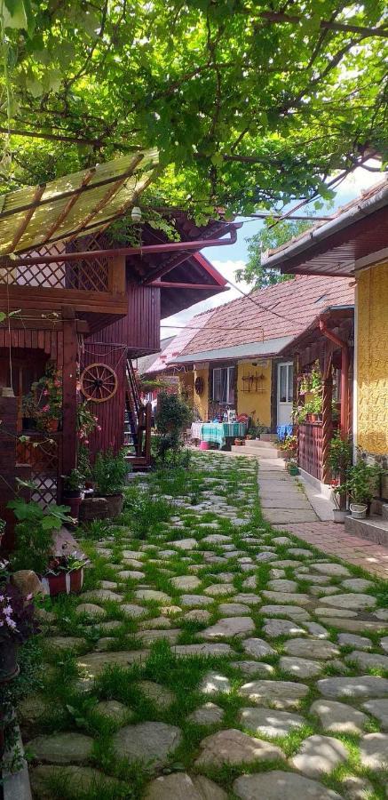 Casa Boierului Imbri Cartisoara Exterior foto