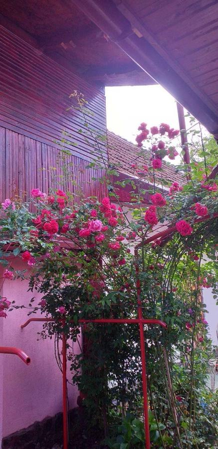 Casa Boierului Imbri Cartisoara Exterior foto