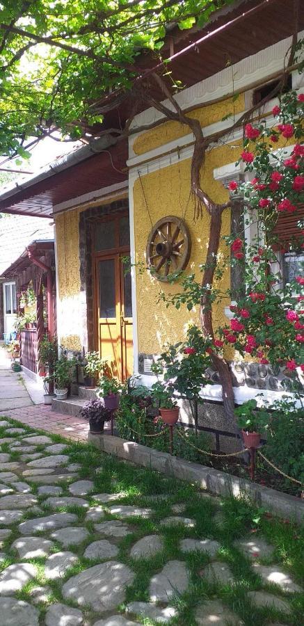Casa Boierului Imbri Cartisoara Exterior foto