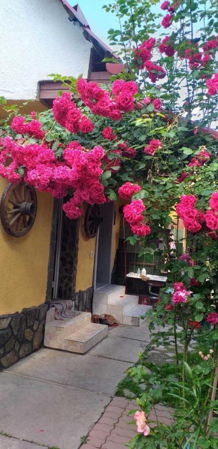 Casa Boierului Imbri Cartisoara Exterior foto