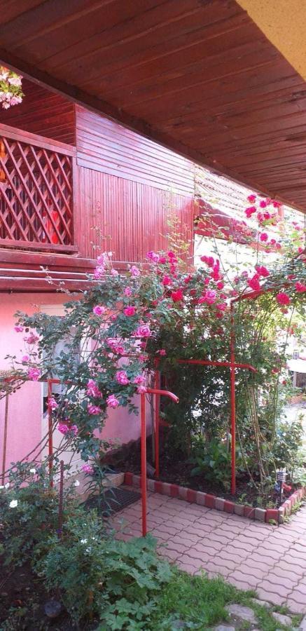 Casa Boierului Imbri Cartisoara Exterior foto